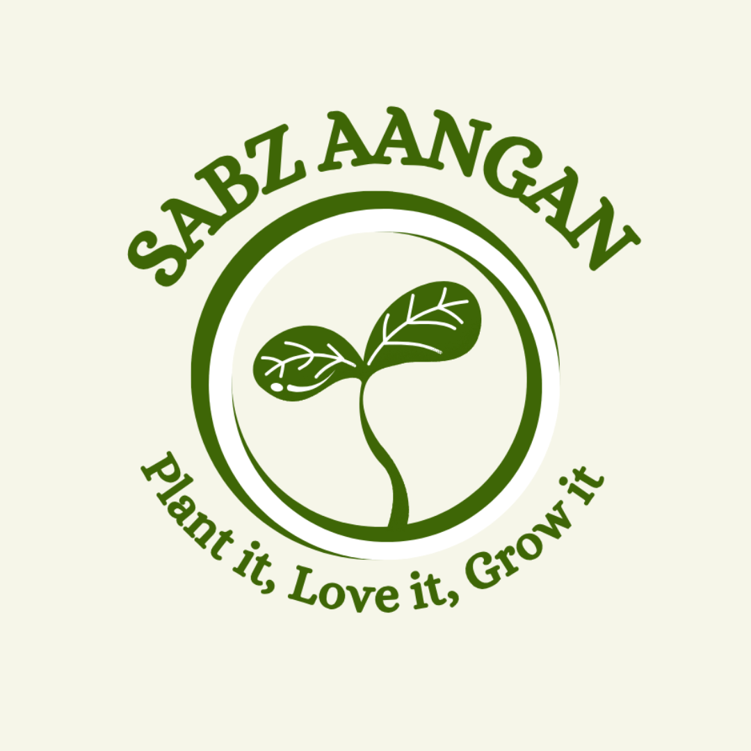 Sabz Aangan logo: Plant it, Love it, Grow it